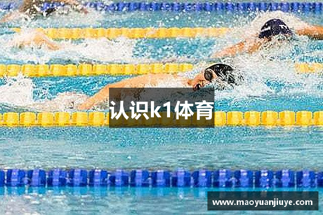 认识k1体育